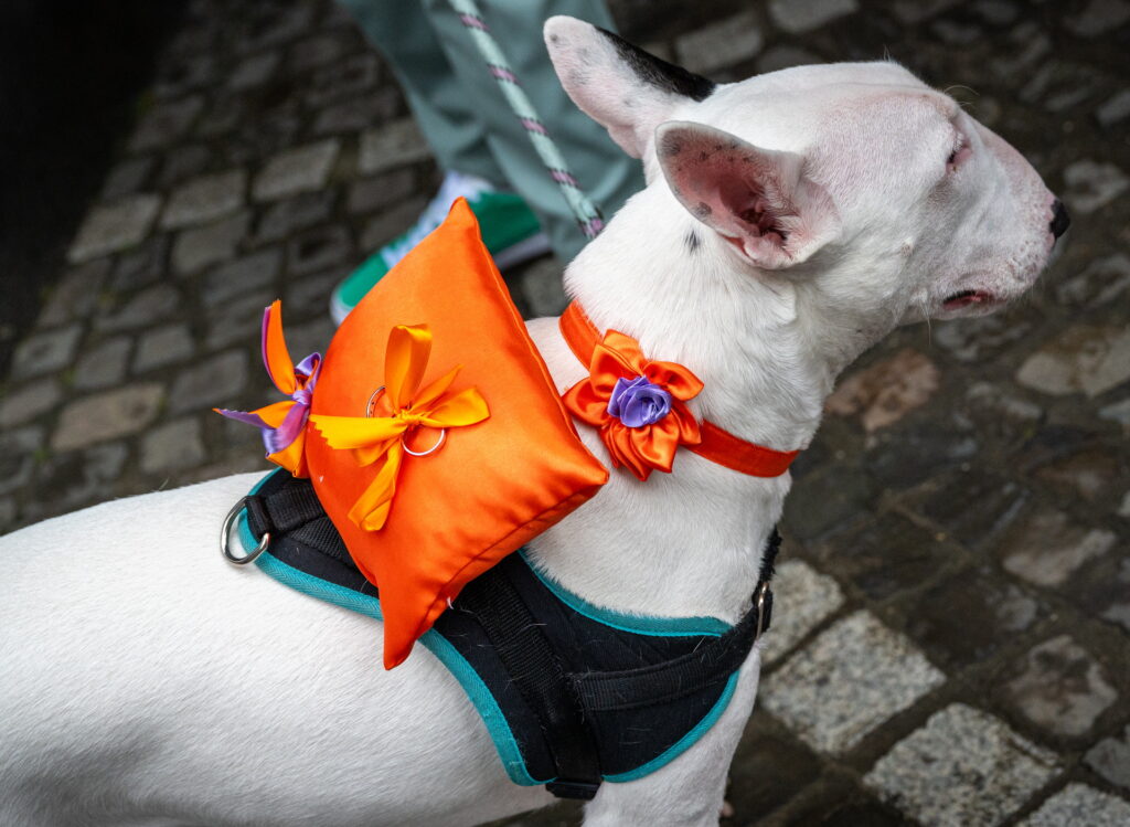 alex christophe mariage cingraphic 18