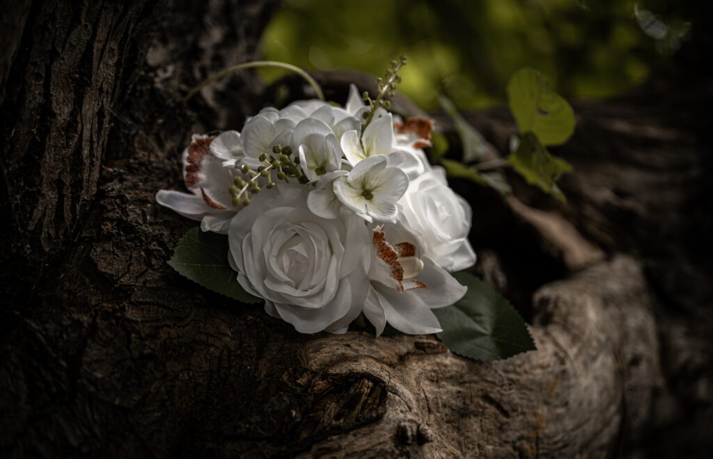 celestine jerome entre nous cingraphic 05